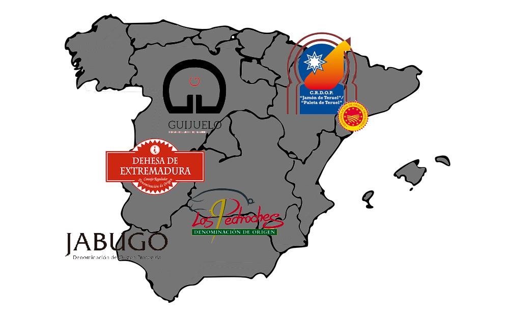 5 dop jamón ibérico